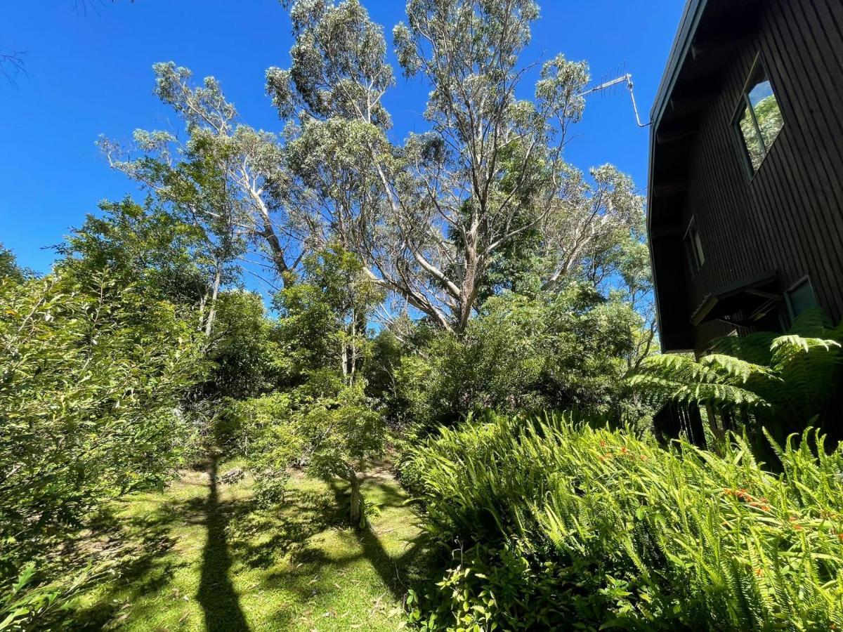 Sublime Cedar Lodge Leura Exterior photo
