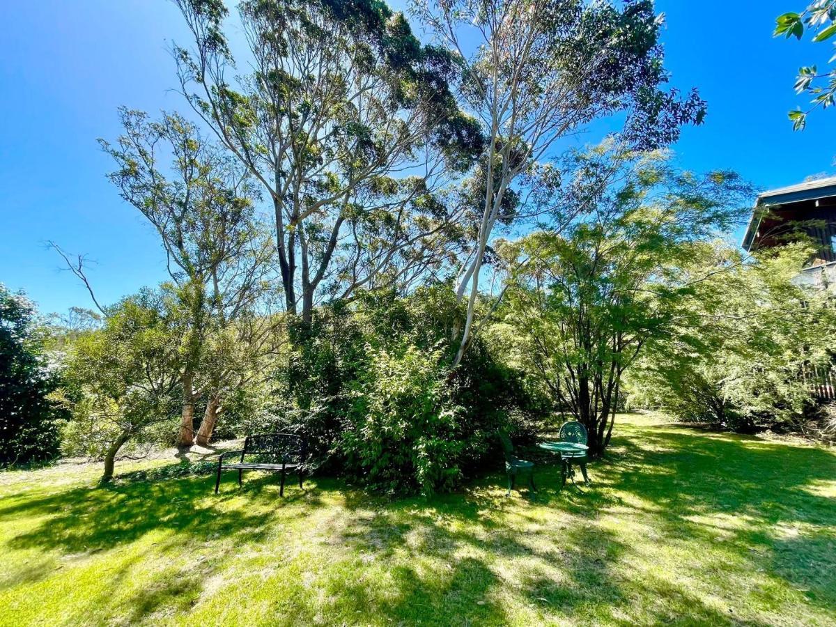 Sublime Cedar Lodge Leura Exterior photo